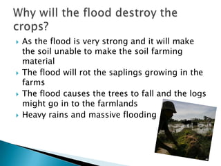 







As the flood is very strong and it will make
the soil unable to make the soil farming
material
The flood will rot the saplings growing in the
farms
The flood causes the trees to fall and the logs
might go in to the farmlands
Heavy rains and massive flooding

 