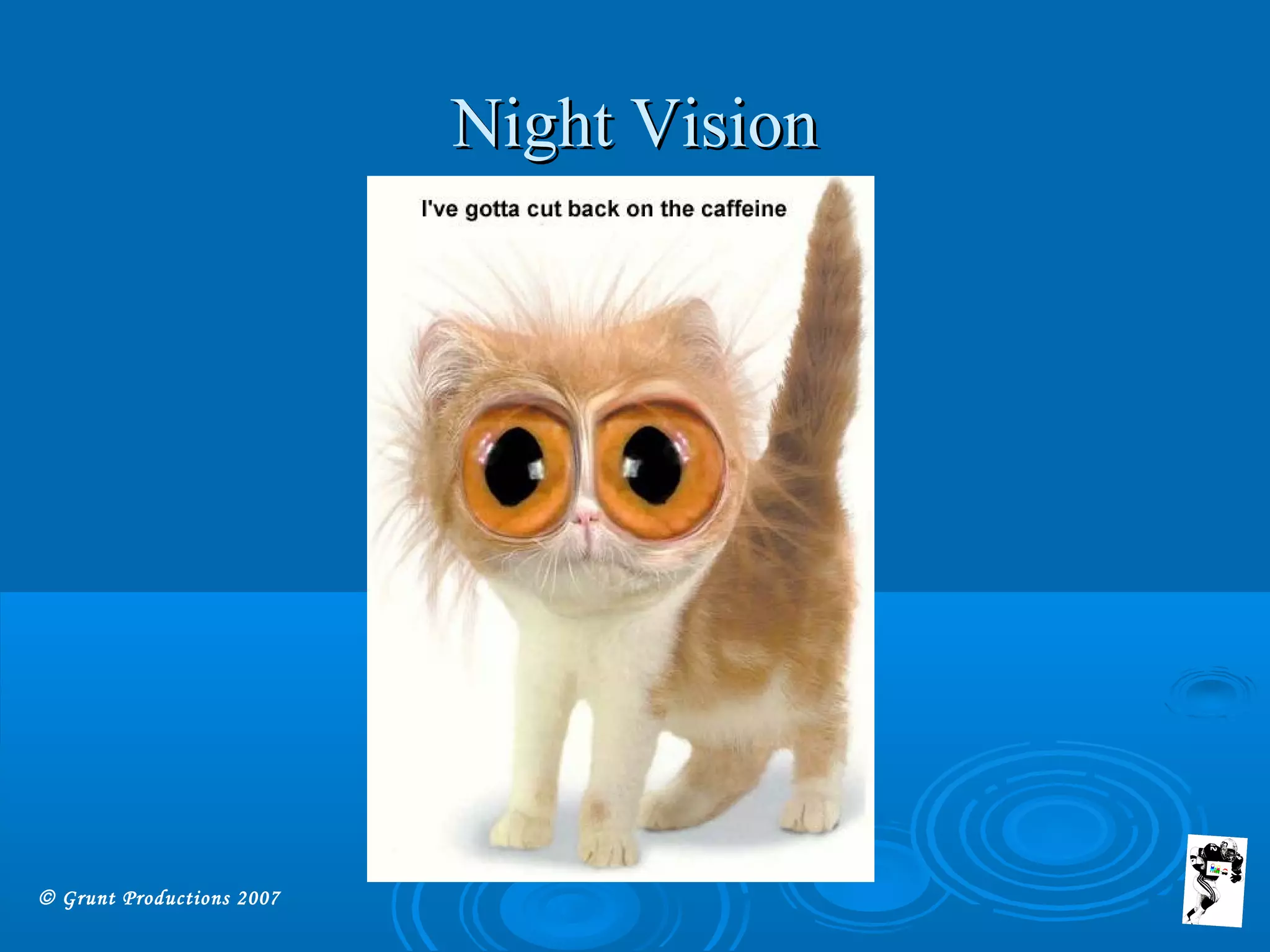 © Grunt Productions 2007
Night VisionNight Vision
 