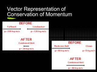 Vector Representation of Conservation of Momentum 