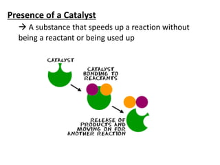 Presence of a Catalyst
 A substance that speeds up a reaction without
being a reactant or being used up
 