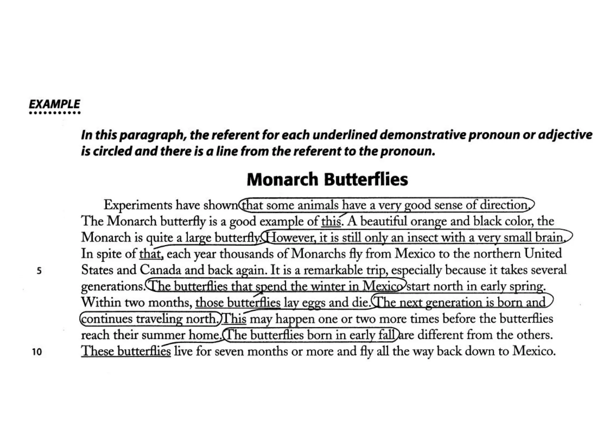 Collocation used in the reading text for students