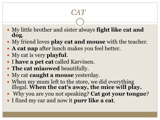 CAT
 My little brother and sister always fight like cat and
dog.
 My friend loves play cat and mouse with the teacher.
 A cat nap after lunch makes you feel better.
 My cat is very playful.
 I have a pet cat called Karvinen.
 The cat miaowed beautifully.
 My cat caught a mouse yesterday.
 When my mum left to the store, we did everything
illegal. When the cat's away, the mice will play.
 Why you are you not speaking? Cat got your tongue?
 I fixed my car and now it purr like a cat.
 