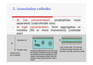 3. Association colloids:
- At low concentration: amphiphiles exist
separately (subcolloidal size)
- At high concentration: form aggregates or
micelles (50 or more monomers) (colloidal
size)
 