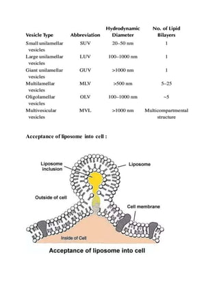 Acceptance of liposome into cell :
 