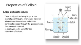 Properties of Colloid
5. Non-dialysable nature:
The colloid particles being larger in size
can not pass through a membrane however
allows dispersion medium and smaller
particles to escape through the pores or holes.
This process is referred
to as dialysis and is useful for the
separation of colloids.
 