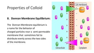 Properties of Colloid
8. Donnan Membrane Equilibrium:
The Donnan Membrane equilibrium is
a name for the behavior of
charged particles near a semi-permeable
membrane that sometimes fail to
distribute evenly across the two sides
of the membrane.
 