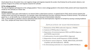 At pH above the pI, the protein has a net negative charge and migrates towards the anode. At pH below the pI the protein obtains a net
positive charge on its surface and migrates towards the cathode.
2) The voltage gradient
The rate of migration will depend on the voltage gradient: There is more voltage gradient in the electric field, protein will move towards the
anode (or the cathode) at a faster rate.
3) Electo-osmosis
Liquid’s relative move upon solid medium in an electric field is called electo-osmosis. In applied electric field, electo-osmosis distorts the
sample stream and limits the separation. For example, Paper electrophoresis has poor resolution because of electo-osmosis. The surface of
paper has -e, so the buffer has +e derived from hydrogen ions because of electrostatic induction.
Then +e drive buffer to cathode in electric field,these flows distort the electrophoretic migration of sample by causing a varying residence
time. Thus, sample will move more or less than normal.
 