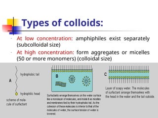 COLLOIDS what is colloids what is the uses of colloids | PPT