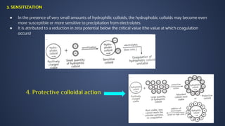 Colloids 4th SEM B.Pharm Physical Pharmaceutics II | PDF