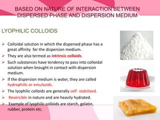 BASED ON NATURE OF INTERACTION BETWEEN
DISPERSED PHASE AND DISPERSION MEDIUM
LYOPHILIC COLLOIDS
 Colloidal solution in which the dispersed phase has a
great affinity for the dispersion medium.
 They are also termed as intrinsic colloids.
 Such substances have tendency to pass into colloidal
solution when brought in contact with dispersion
medium.
 If the dispersion medium is water, they are called
hydrophilic or emulsoids.
 The lyophilic colloids are generally self- stabilized.
 Reversible in nature and are heavily hydrated.
 Example of lyophilic colloids are starch, gelatin,
rubber, protein etc.
 