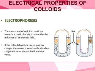 ELECTRICAL PROPERTIES OF
COLLOIDS
• ELECTROPHORESIS
• The movement of colloidal particles
towards a particular electrode under the
influence of an electric field.
• If the colloidal particles carry positive
charge, they move towards cathode when
subjected to an electric field and vice
versa.
 