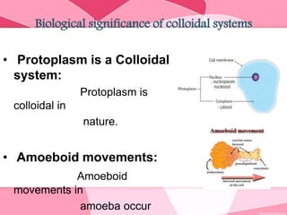 Biological significance of colloidal systems
• Protoplasm is a Colloidal
system:
Protoplasm is
colloidal in
nature.
• Amoeboid movements:
Amoeboid
movements in
amoeba occur
 