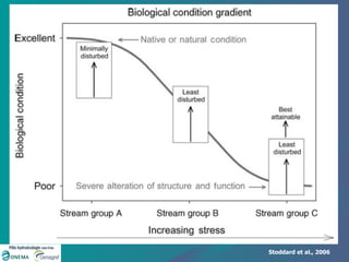 Stoddard et al., 2006 