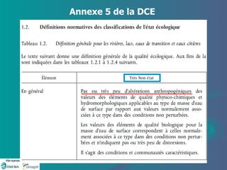 Annexe 5 de la DCE 