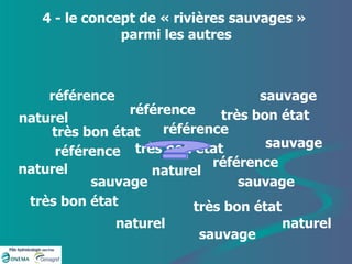 4 - le concept de « rivières sauvages »  parmi les autres naturel sauvage référence très bon état naturel naturel naturel naturel sauvage sauvage sauvage sauvage très bon état très bon état très bon état très bon état référence référence référence référence ? 