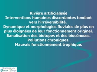 Rivière artificialisée Interventions humaines discordantes tendant vers l’irréversibilité.  Dynamique et morphologies fluviales de plus en plus éloignées de leur fonctionnement originel. Banalisation des biotopes et des biocénoses. Pollutions chroniques. Mauvais fonctionnement trophique. 