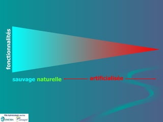 artificialisée naturelle sauvage fonctionnalités 