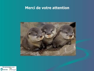 Merci de votre attention 