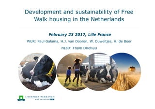 Development and sustainability of Free
Walk housing in the Netherlands
February 23 2017, Lille France
WUR: Paul Galama, H.J. van Dooren, W. Ouweltjes, H. de Boer
NIZO: Frank Driehuis
 