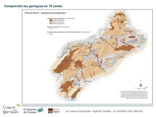 Comprendre les garrigues en 10 cartes
Faune-flore : secteurs prospectés

5e Colloque Garrigues, regards croisés : un territoire pour demain

 