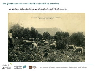 Des questionnements, une démarche : assumer les paradoxes
La garrigue est un territoire qui a besoin des activités humaines

5e Colloque Garrigues, regards croisés : un territoire pour demain

 