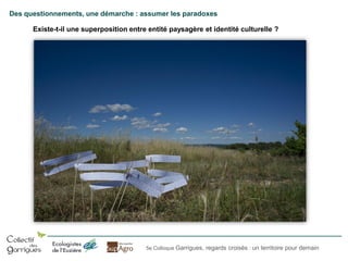 Des questionnements, une démarche : assumer les paradoxes
Existe-t-il une superposition entre entité paysagère et identité culturelle ?

5e Colloque Garrigues, regards croisés : un territoire pour demain

 
