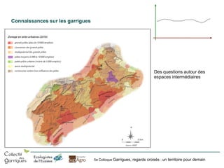 Connaissances sur les garrigues

Des questions autour des
espaces intermédiaires

5e Colloque Garrigues, regards croisés : un territoire pour demain

 
