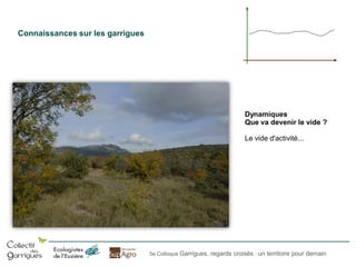 Connaissances sur les garrigues

Dynamiques
Que va devenir le vide ?
Le vide d'activité...

5e Colloque Garrigues, regards croisés : un territoire pour demain

 