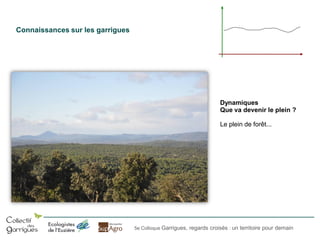 Connaissances sur les garrigues

Dynamiques
Que va devenir le plein ?
Le plein de forêt...

5e Colloque Garrigues, regards croisés : un territoire pour demain

 