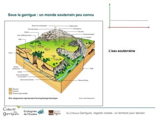 Sous la garrigue : un monde souterrain peu connu

L'eau souterraine

5e Colloque Garrigues, regards croisés : un territoire pour demain

 