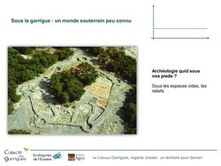 Sous la garrigue : un monde souterrain peu connu

Archéologie quid sous
nos pieds ?
Sous les espaces vides, les
reliefs

5e Colloque Garrigues, regards croisés : un territoire pour demain

 