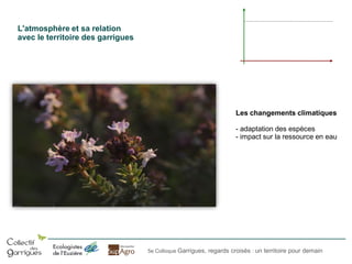 L'atmosphère et sa relation
avec le territoire des garrigues

Les changements climatiques

- adaptation des espèces
- impact sur la ressource en eau

5e Colloque Garrigues, regards croisés : un territoire pour demain

 
