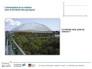 L'atmosphère et sa relation
avec le territoire des garrigues

La chênaie verte, puits de
carbone ?

5e Colloque Garrigues, regards croisés : un territoire pour demain

 