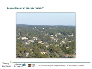 Les garrigues : un nouveau monde ?

5e Colloque Garrigues, regards croisés : un territoire pour demain

 