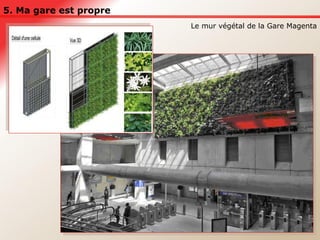 5. Ma gare est propre Le mur végétal de la Gare Magenta 