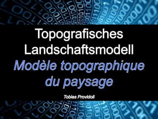 Bundesamt für Landestopografie swisstopo
KOGIS & TOPO : geo.admin.ch 3D
 