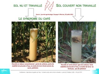 13Conférence « Agriculture et gestion de l'eau : la réserve utile, point clé de la réussite » Lycée de Fonlabour ALBI – 29 avril 2015
13
SOL NU ET TRAVAILLÉ SOL COUVERT NON TRAVAILLÉ
Parcelle en labour conventionnel : perte de carbone, perte de
stabilité structurale à l’eau, la motte de terre fond comme du
sucre, pollution
Parcelle en semis direct: gain de carbone, forte
stabilité structurale à l’eau, la motte de terre ne
fond pas, pas de pollution
Source : journée agroécologie, Paysage In Marciac, 29 juillet 2013
13
LE SYNDROME DU CAFÉ
 