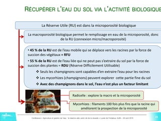 21Conférence « Agriculture et gestion de l'eau : la réserve utile, point clé de la réussite » Lycée de Fonlabour ALBI – 29 avril 2015
21
La Réserve Utile (RU) est dans la microporosité biologique
La macroporosité biologique permet le remplissage en eau de la microporosité, donc
de la RU (connexion micro/macroporosité)
• 45 % de la RU est de l’eau mobile qui se déplace vers les racines par la force de
succion des végétaux = RFU
• 55 % de la RU est de l’eau liée qui ne peut pas s’extraire du sol par la force de
succion des plantes = RDU (Réserve Difficilement Utilisable)
 Seuls les champignons sont capables d’en extraire l’eau pour les racines
 Les mycorhizes (champignons) peuvent explorer cette partie fine du sol
 Avec des champignons dans le sol, l’eau n’est plus un facteur limitant
Radicelle : explore la macro et la microporosité
Mycorhizes : filaments 100 fois plus fins que la racine qui
améliorent la prospection de la microporosité
RÉCUPÉRER L’EAU DU SOL VIA L’ACTIVITÉ BIOLOGIQUE
21
 
