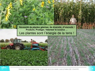 28Conférence « Agriculture et gestion de l'eau : la réserve utile, point clé de la réussite » Lycée de Fonlabour ALBI – 29 avril 2015
Nécessité de plantes géantes, de diversité, d’intensité !
Produire, Protéger, Valoriser le surplus …
Les plantes sont l’énergie de la terre !
 