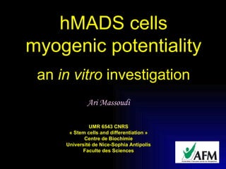 hMADS cells myogenic potentiality an  in vitro  investigation Ari Massoudi UMR 6543 CNRS « Stem cells and differentiation » Centre de Biochimie Université de Nice-Sophia Antipolis Faculte des Sciences 
