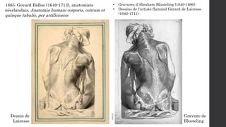 1685: Govard Bidloo (1649-1713), anatomiste
néerlandais, Anatomia humani corporis, centum et
quinque tabulis, per artifici...