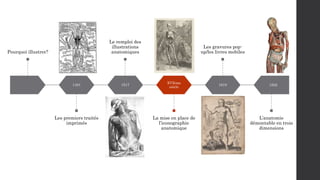 Pourquoi illustrer?
1491
Les premiers traités
imprimés
1517
Le remploi des
illustrations
anatomiques
XVIème
siècle
La mise...