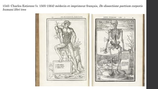1545: Charles Estienne (v. 1505-1564) médecin et imprimeur français, De dissectione partium corporis
humani libri tres
 