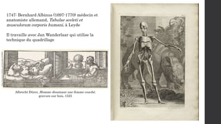 1747: Bernhard Albinus (1697-1770) médecin et
anatomiste allemand, Tabulae sceleti et
musculorum corporis humani, à Leyde
...