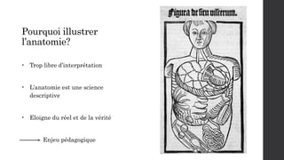 Pourquoi illustrer
l’anatomie?
• Trop libre d’interprétation
• L’anatomie est une science
descriptive
• Eloigne du réel et...