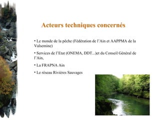 Acteurs techniques concernés   Le monde de la pêche (Fédération de l’Ain et AAPPMA de la Valsemine) Services de l’Etat (ONEMA, DDT...)et du Conseil Général de l’Ain, La FRAPNA Ain Le réseau Rivières Sauvages  