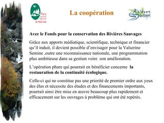 La coopération Avec le Fonds pour la conservation des Rivières Sauvages  Grâce aux apports médiatique, scientifique, technique et financier qu’il induit, il devient possible d’envisager pour la Valserine Semine ,outre une reconnaissance nationale, une programmation plus ambitieuse dans sa gestion voire  son amélioration.  L’opération phare qui pourrait en bénéficier concerne  la restauration de la continuité écologique. Celle-ci qui ne constitue pas une priorité de premier ordre aux yeux des élus et nécessite des études et des financements importants, pourrait ainsi être mise en œuvre beaucoup plus rapidement et efficacement sur les ouvrages à problème qui ont été repérés. 