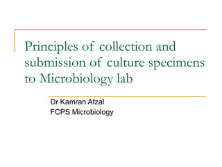 Principles of collection and submission of culture specimens to Microbiology lab Dr Kamran Afzal FCPS Microbiology 
