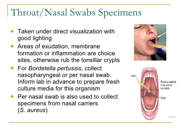 Coll Trans Micro Specimens