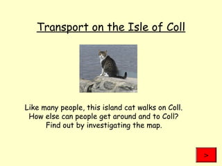 Transport on the Isle of Coll
Like many people, this island cat walks on Coll.
How else can people get around and to Coll?
Find out by investigating the map.
>
 